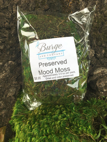 Moss, Preserved Mood Moss